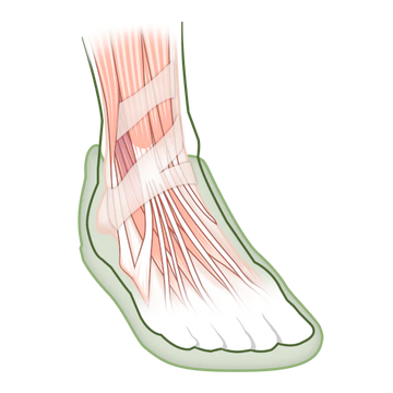 ゼロドロップ